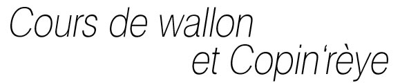 Centre Culturel Le R�verb�re